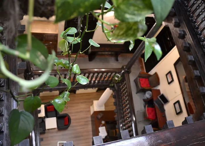 Nuevo Suizo Bed & Breakfast Seville